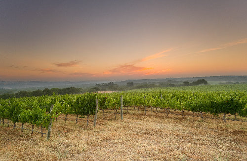 Herdade do Portocarro Tinto 2017