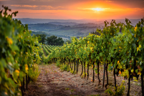 Chianti Maiano DOCG 2019 - Wine at Home