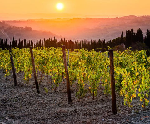 Poggio Al Sondolo IGT 2022, Tenuta Maiano