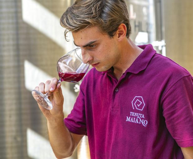 Vin Santo del Chianti DOC 2019, Tenuta Maiano (Half bottle)