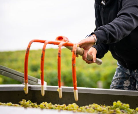 Bourgogne Chardonnay AOC 2023, Vignerons des Grandes Vignes