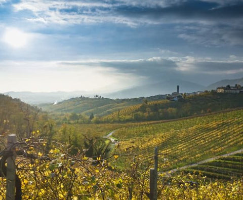 Icone Extra Dry sparkling wine, Terre Di Rai