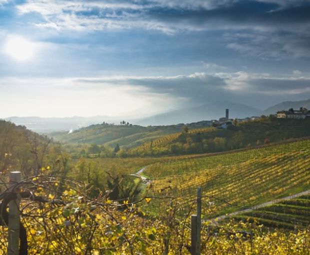 Icone Extra Dry sparkling wine, Terre Di Rai