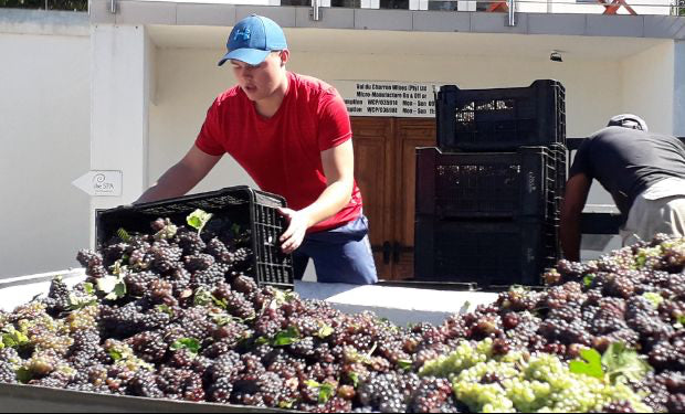 TRUTER FAMILY HARVEST SOUTH AFRICA
