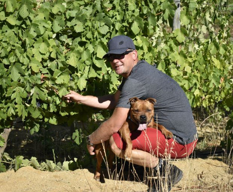 Cabernet Sauvignon Coteaux de Montagne 2024, The Wine Gallery