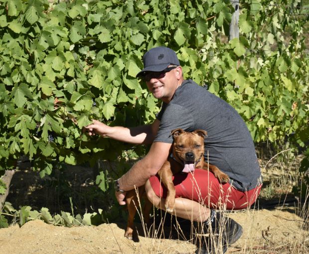 Cabernet Sauvignon Coteaux de Montagne 2024, The Wine Gallery