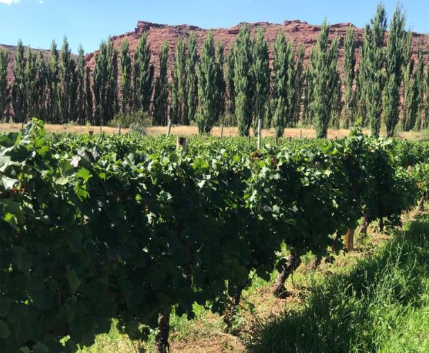 Malbec Gran Reservado 2021, Fabre Montmayou