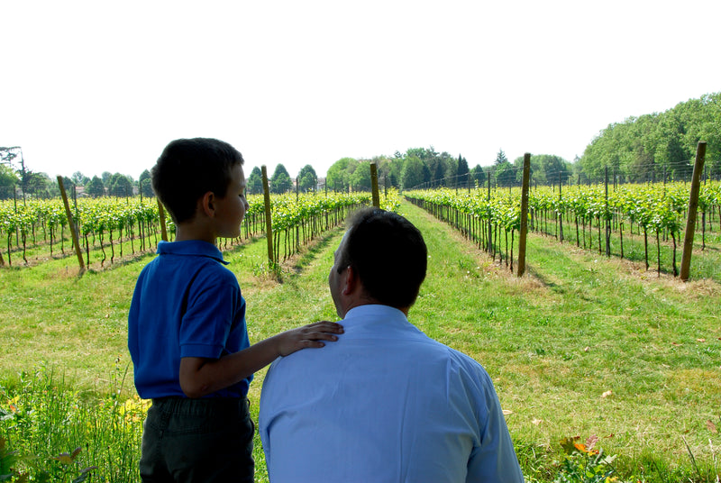 Refosco dal Peduncolo Rosso DOC 2020 Friuli, Villa Vitas – Wine at Home