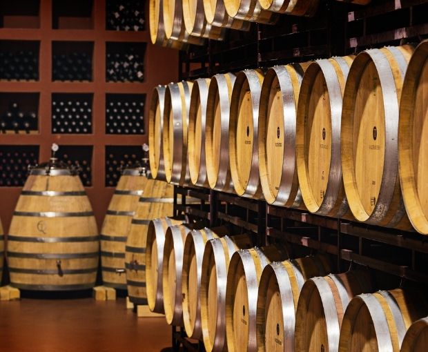 Crianza D.O. Ribera del Duero 2022, Valtravieso