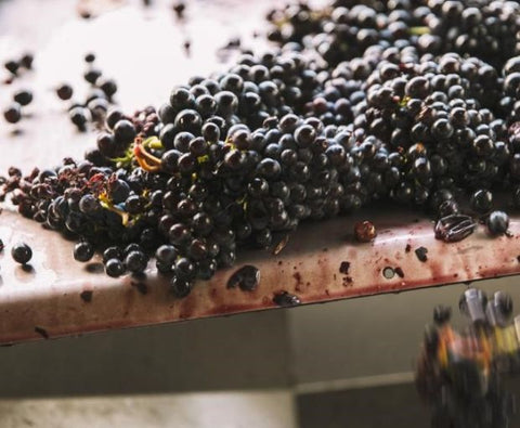 Chianti Montalbano DOCG 2020, Villa Bibbiani