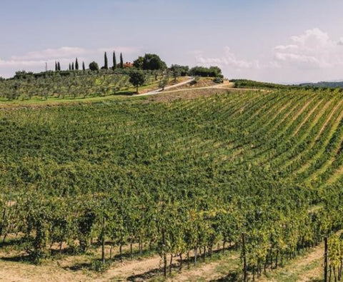 Montereggi IGT Toscana 2018, Villa Bibbiani