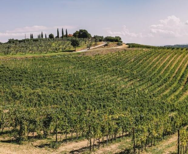 Montereggi IGT Toscana 2018, Villa Bibbiani