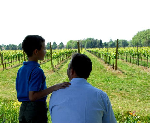 Traminer Aromatico DOC Friuli 2022, Villa Vitas