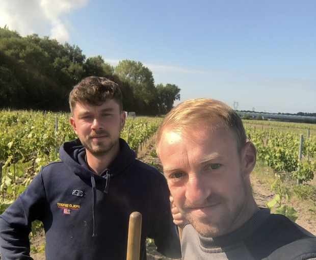 Chinon AOC 2024, Domaine du Puy Rigault