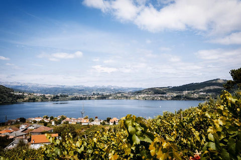 Mencia DO Monterrei 2024, Antonio Montero