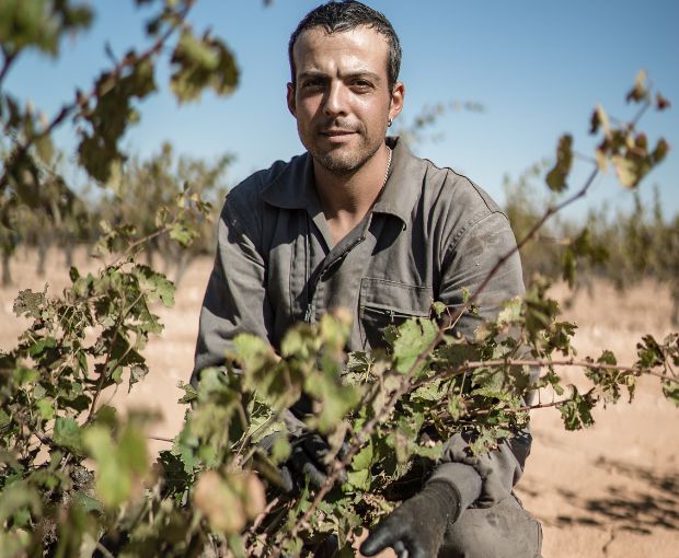 El Pinar de Villena Rosé 2023, Las Virtudes