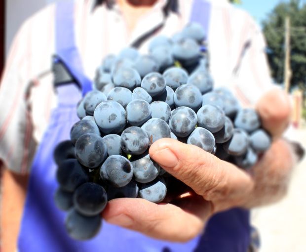 El Pinar de Villena Rosé 2023, Las Virtudes