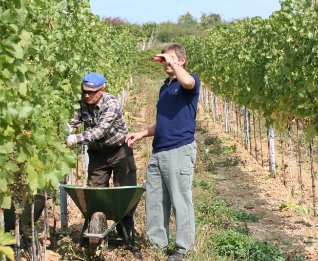 Grüner Veltliner Kamptal DAC 2024, Weingut Waldschütz