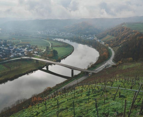 Riesling Eiswein 2016, Weingut Familie Rauen (Half Bottle)
