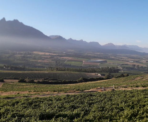 Cabernet Sauvignon Coteaux de Montagne 2024, The Wine Gallery