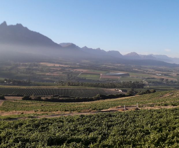 Cabernet Sauvignon Coteaux de Montagne 2024, The Wine Gallery