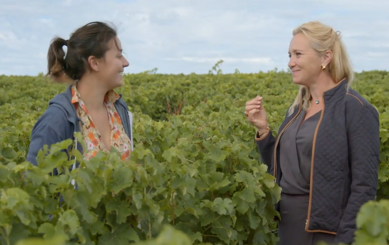 Coteaux-du-Giennois Blanc AOC 2022, Domaine Raimbault