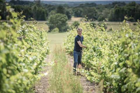 Saumur Blanc AOC 2022, Domaine du Fondis