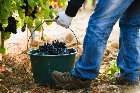 Saint Laurand Collection Privée VdF 2022 Rouge, Les Celliers de Corneille