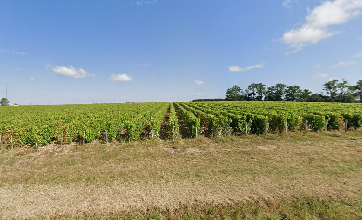 Wine at Home