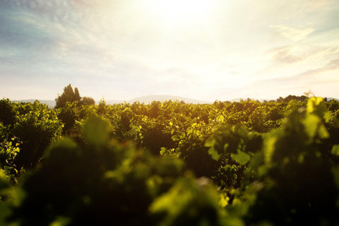 Saint Laurand VdP Rose 2018 Les Celliers de Corneille - Wine at Home