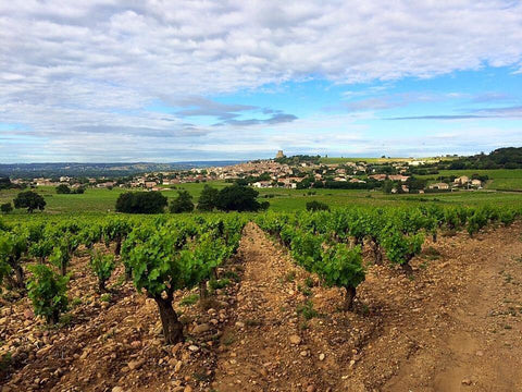 Chateauneuf-du-Pape rouge AOC 2016 Domaine Mathieu - Wine at Home