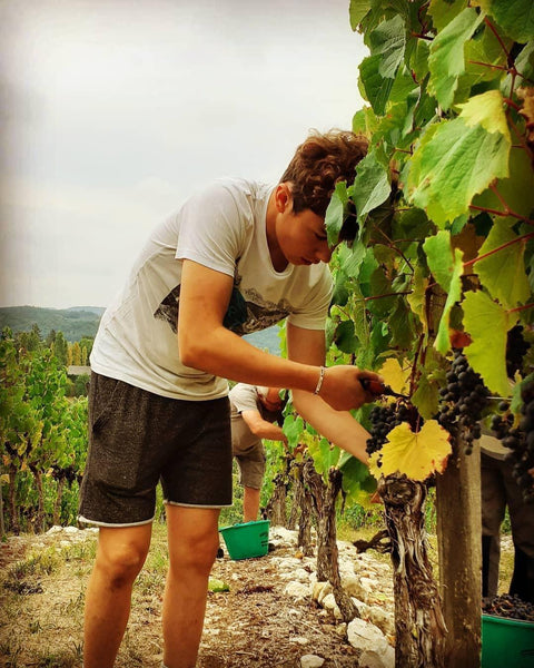 Malbec Cahors AOC 2016 Domaine de Lavaur - Wine at Home