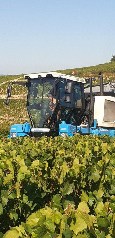 Chablis AOC 2019 Domaine Ellevin - Wine at Home