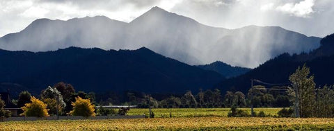 Pinot Noir 2016 Map Maker - Wine at Home