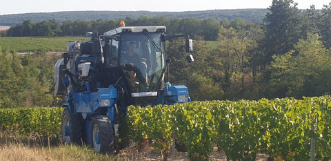 Chablis AOC 2022, Jean-Pierre et Alexandre Ellevin