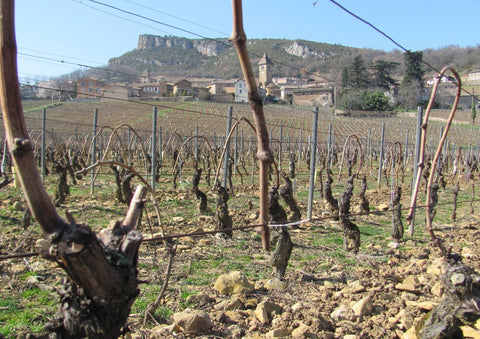 Pouilly-Fuissé AOP 1er Cru En Servy 2020, Denis Bouchacourt