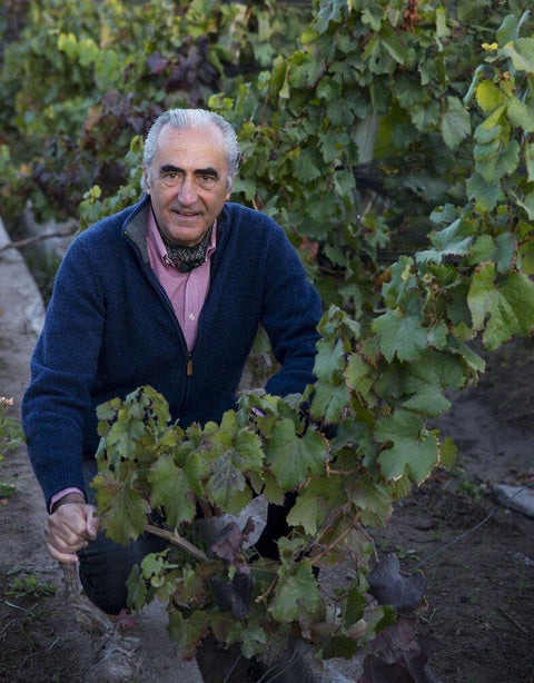 Syrah Barrel Selection Patagonia 2013 Fabre Montmayou - Wine at Home