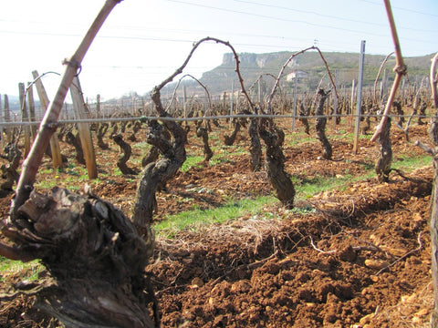 Pouilly-Fuissé AOP 1er Cru En Servy 2020, Denis Bouchacourt