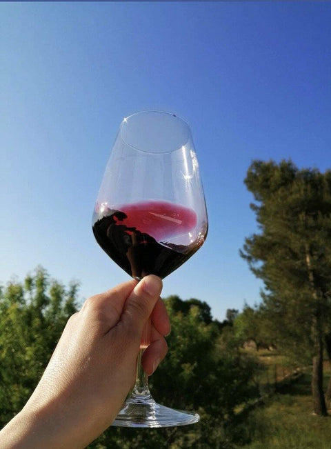 Primitivo Acanto Salento Puglia IGT 2018 Cantine Ionis - Wine at Home