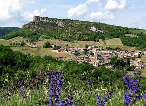 Mâcon-Solutré AOP Cardonus Rex 2020, Denis Bouchacourt