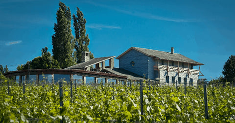 Pinot Grigio single vineyard 2022, Hilltop