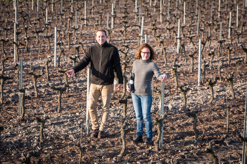 Haut Médoc AOC Cru Bourgeois 2016, Chateau du Retout