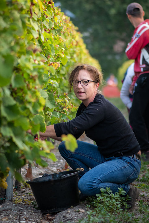 Le Retout Blanc VdF 2016, Chateau du Retout