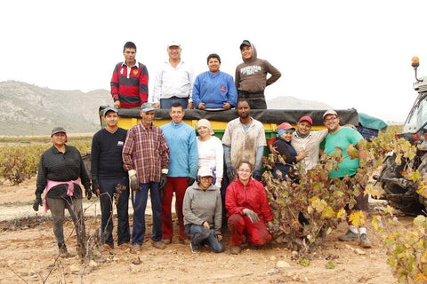 El Pinar de Villena Blanco 2019, Bodega Las Virtudes - Wine at Home