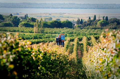 Costières de Nîmes Les Hauts de Coste-Rives Rosé AOC 2019 - Wine at Home