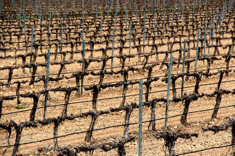 El Pinar de Villena Tinto, Bodega Las Virtudes