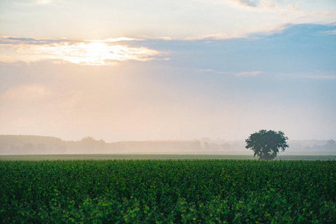 Chateau du Retout, Le Retout Blanc Vin de France 2016 - Wine at Home