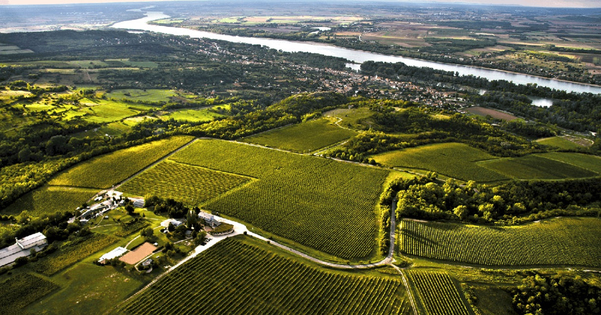 Pinot Grigio single vineyard 2024, Hilltop