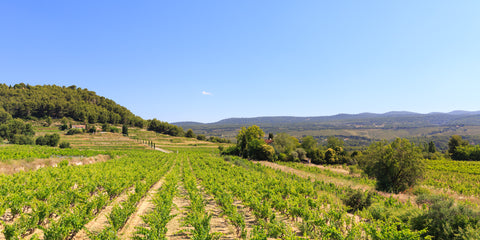 Côtes de Provence AOC 2021 Rosé, Château La Vivonne