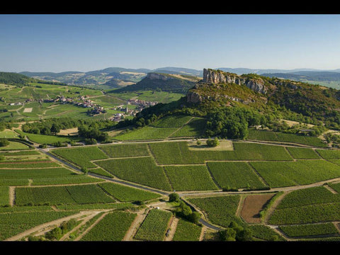 Macon Solutré AOC Cardonus Rex 2017 Denis Bouchacourt - Wine at Home